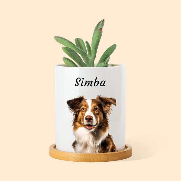 Personalised Oil Painting Style Pet Portrait Photo Ceramic Plant Pot with Bamboo Base and Name Birthday Anniversary Gift for Pet Lover