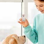 Broche en Acrylique Personnalisée avec Portrait d'Animal de Compagnie Cadeau d'Anniversaire pour les Amoureux des Animaux de Compagnie