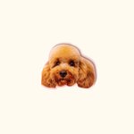 Broche en Acrylique Personnalisée avec Portrait d'Animal de Compagnie Cadeau d'Anniversaire pour les Amoureux des Animaux de Compagnie