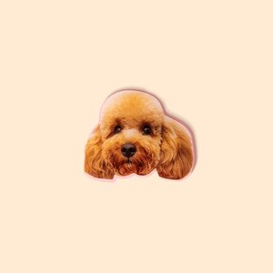 Personalised Cute Pet Portrait Acrylic Pin Brooch Memorial Birthday Gift for Pet Lovers