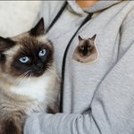Broche en Acrylique Personnalisée avec Portrait d'Animal de Compagnie Cadeau d'Anniversaire pour les Amoureux des Animaux de Compagnie