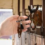 Portachiavi personalizzato con silhouette e marcatura facciale del cavallo con testo e nappina regalo ideale per amanti dei cavalli ed equestri
