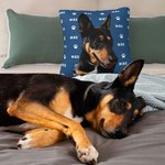 Personalized Cute Paw Pet Photo Throw Pillow Cover with Name Home Decor Birthday Gift for Pet Lovers