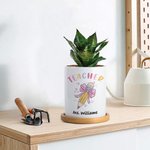 Personalized Pink Bow Pencil Teacher Flower Pot with Wooden Base and Name Teacher's Day Appreciation Gift for Teacher