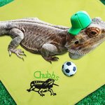 Personalised Bearded Dragon Soft Warm Blanket with Embroidered Name Reptile Tank Accessories for Habitat Gift for Lizard Lover