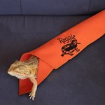 Personalised Bearded Dragon Soft Warm Blanket with Embroidered Name Reptile Tank Accessories for Habitat Gift for Lizard Lover