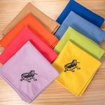Personalised Bearded Dragon Soft Warm Blanket with Embroidered Name Reptile Tank Accessories for Habitat Gift for Lizard Lover