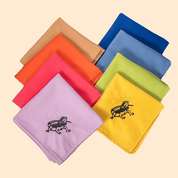 Personalized Bearded Dragon Soft Warm Blanket with Embroidered Name Reptile Tank Accessories for Habitat Gift for Lizard Lover
