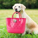 Ritratto personalizzato dell'animale domestico Foto Accessorio in acrilico per il regalo di compleanno in memoria di Bogg per chi ama gli animali domestici