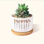 Pot de Fleurs en Céramique Personnalisé avec 1-16 Noms et Fleurs de Naissance Base en Bambou Cadeau Anniversaire Fête des Mères pour Maman Grand-Mère