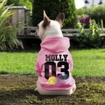 Personalizado Multicolor Baloncesto Fútbol Béisbol Pullover Mascota Sudadera con capucha del perro con el nombre del número de cumpleaños de regalo para el amante de mascotas propietario