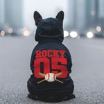 Personalizado Multicolor Baloncesto Fútbol Béisbol Pullover Mascota Sudadera con capucha del perro con el nombre del número de cumpleaños de regalo para el amante de mascotas propietario
