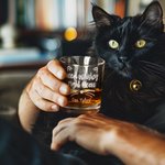 Personalised Need Whisky Right Meow Cute Cat 10oz Old Fashioned Whisky Rocks Glass with Engraved Name Birthday Party Gift for Cat Lovers