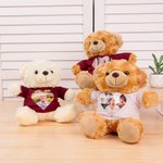 Personalisierte niedlichen Plüsch gefüllte Erinnerung Bär mit Herz Foto Shirt oder Hoodie Memorial Jahrestag Geschenk für Familie Freund