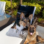 Serviette de Plage Personnalisée avec Photo de l'Animal Horizontale Séchage Rapide Nom Optionnel Cadeau d'Été pour Amoureux d'Animal de Compagnie
