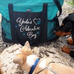Personalized Multicolor Doggie Things Dog Paw Large Capacity Tote Bag with Name and Text Birthday Travel Accessory Gift for Dog Lovers