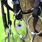 Charm personalizzato in alluminio per sella e briglia di cavallo con nome inciso e pietra preziosa Accessori da equitazione leggeri per gli amanti dei