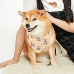 Personalized Multi-color Pet Portrait Reversible Bandana with Adjustable Buckle and Name Birthday Pet Wear Gift for Dog Cat Pet Lovers