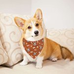 Personalized Multi-color Pet Portrait Reversible Bandana with Adjustable Buckle and Name Birthday Pet Wear Gift for Dog Cat Pet Lovers