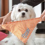 Spersonalizowana trójkątna 100% bawełniana bandana dla zwierzaka z wyhaftowanym imieniem i elastycznym prezentem urodzinowym dla miłośników psów i kotów