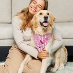 Spersonalizowana trójkątna 100% bawełniana bandana dla zwierzaka z wyhaftowanym imieniem i elastycznym prezentem urodzinowym dla miłośników psów i kotów