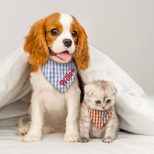 Personalized Gingham Print  Triangle 100% Cotton Pet Bandana with Embroidered Name and Elastic Birthday Party Costume Gift for Dog Cat Lovers