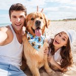 Bandana per cani regolabile in stile hawaiano con foto, regalo di compleanno in spiaggia e costume per gli amanti degli animali.