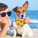 Bandana per cani regolabile in stile hawaiano con foto, regalo di compleanno in spiaggia e costume per gli amanti degli animali.