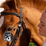 Charm personalizzato in alluminio per sella e briglia di cavallo con nome inciso e pietra preziosa Accessori da equitazione leggeri per gli amanti dei