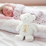 Personalized Handpicked for Earth By My Loved One Teddy Bear Plush Toy with Glitter Text  Angel Wings Pregnancy Keepsake Memorial Gift for Baby Kids