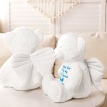 Personalized Handpicked for Earth By My Loved One Teddy Bear Plush Toy with Glitter Text  Angel Wings Pregnancy Keepsake Memorial Gift for Baby Kids