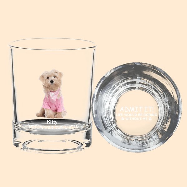 La vida sería aburrida sin mí 10oz Old Fashioned Whisky Rocks Glass personalizado con foto y nombre Regalo de cumpleaños para los amantes del perro gato