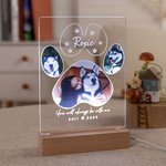Veilleuse LED personnalisée avec socle en bois pour animaux de compagnie Cadeau de sympathie pour les amoureux des chats, des chiens et des animaux de