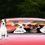 Personnalisé 1-3 Portrait d'animal de compagnie style plage pare-soleil de voiture avec nom Accessoires auto Voyage Cadeau d'anniversaire pour les amo