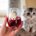 Verre à vin à pied court avec nom Cadeau pour l'amour de votre chien ou de votre chat