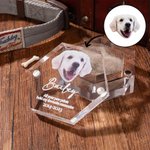 Caja conmemorativa magnética personalizada con foto y nombre para perro, gato o mascota con alas de ángel.