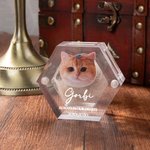 Caja conmemorativa magnética personalizada con foto y nombre para perro, gato o mascota con alas de ángel.