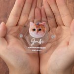 Caja conmemorativa magnética personalizada con foto y nombre para perro, gato o mascota con alas de ángel.
