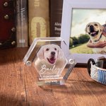 Caja conmemorativa magnética personalizada con foto y nombre para perro, gato o mascota con alas de ángel.