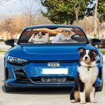 Personalised Photo Car Windshield Sunshade with Name and Suction Cup Auto Accessories Outdoor Activities Gift for Cat Dog Pet Lovers Campers