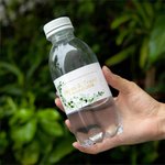 Personalized Eucalyptus Theme Wedding Water Bottle Labels Set of 30 Engagement Bridal Shower Party Gift