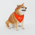 Personalised Colourful Adjustable Dog Bandana with Text Valentine's Day for Dog