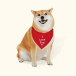 Personalised Colourful Adjustable Dog Bandana with Text Valentine's Day for Dog