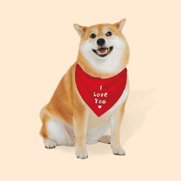 Personalized Colourful Adjustable Dog Bandana with Text Valentine's Day for Dog