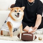 Personlig Baseball Element 100% bomull Pet Stripe Jersey Vest med namn och nummer Födelsedag Sporttillbehör Present för hundälskare Baseball Fans