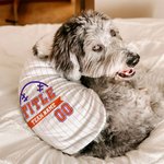 Personlig Baseball Element 100% bomull Pet Stripe Jersey Vest med namn och nummer Födelsedag Sporttillbehör Present för hundälskare Baseball Fans