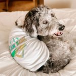 Personalizado Multicolor Glitter Fútbol Elemento 100% Algodón Mascota Jersey Chaleco con Nombre y Número Cumpleaños Cheer Accesorios Regalo para los a