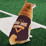 Personalizado Multicolor Glitter Fútbol Elemento 100% Algodón Mascota Jersey Chaleco con Nombre y Número Cumpleaños Cheer Accesorios Regalo para los a