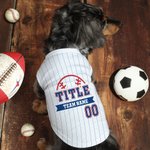 Personlig Baseball Element 100% bomull Pet Stripe Jersey Vest med namn och nummer Födelsedag Sporttillbehör Present för hundälskare Baseball Fans