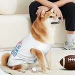 Personlig Baseball Element 100% bomull Pet Stripe Jersey Vest med namn och nummer Födelsedag Sporttillbehör Present för hundälskare Baseball Fans